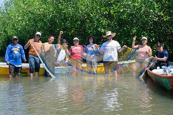 Coastal Reforestation